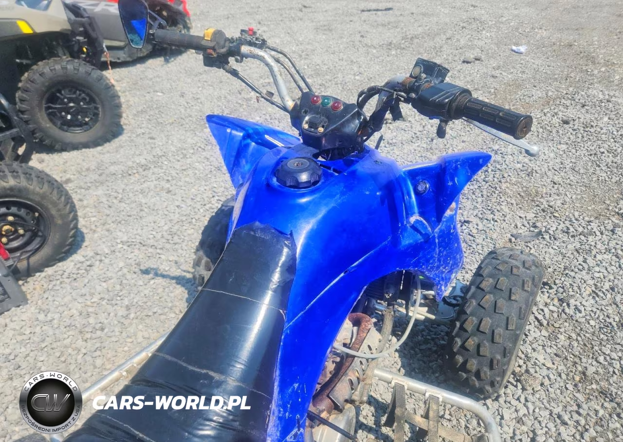 2003 Kawasaki Kfx400 Atv VIN:JSAAK47B532102457 - 5