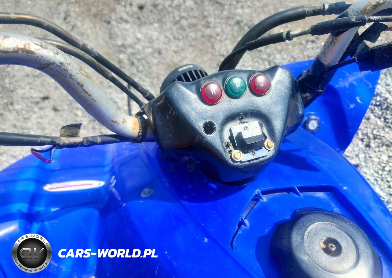 2003 Kawasaki Kfx400 Atv VIN:JSAAK47B532102457 - 8