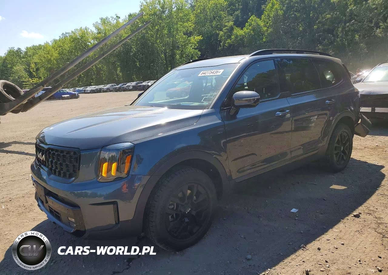 2024 Kia Telluride Sx-Prestige X-Pro VIN:5XYP5DGCXRG526831 - 1