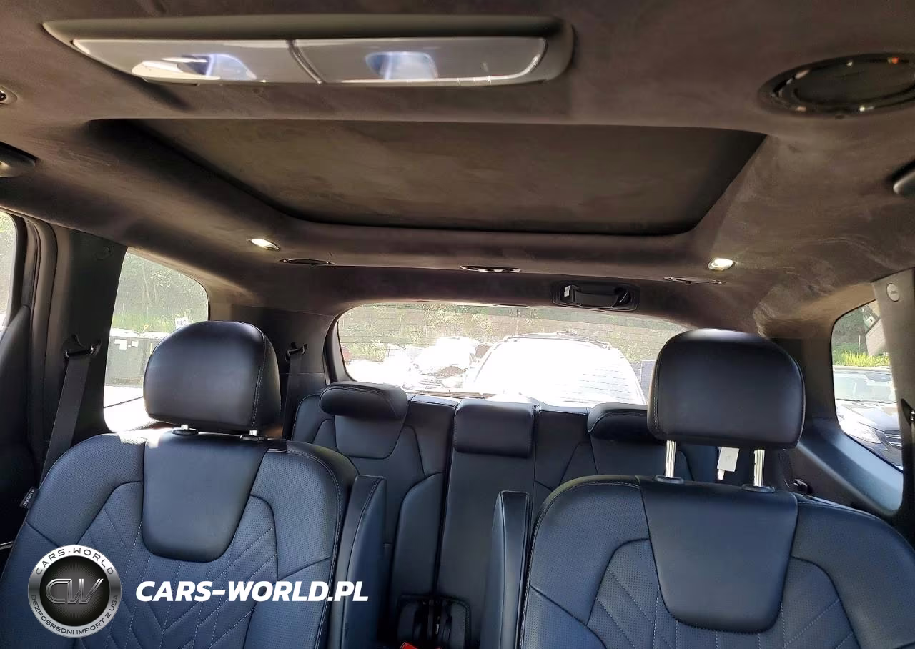 2024 Kia Telluride Sx-Prestige X-Pro VIN:5XYP5DGCXRG526831 - 10