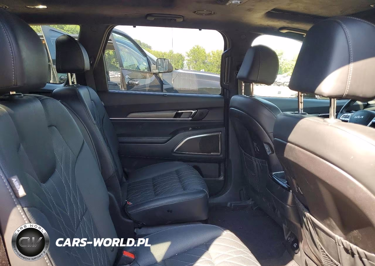 2024 Kia Telluride Sx-Prestige X-Pro VIN:5XYP5DGCXRG526831 - 11
