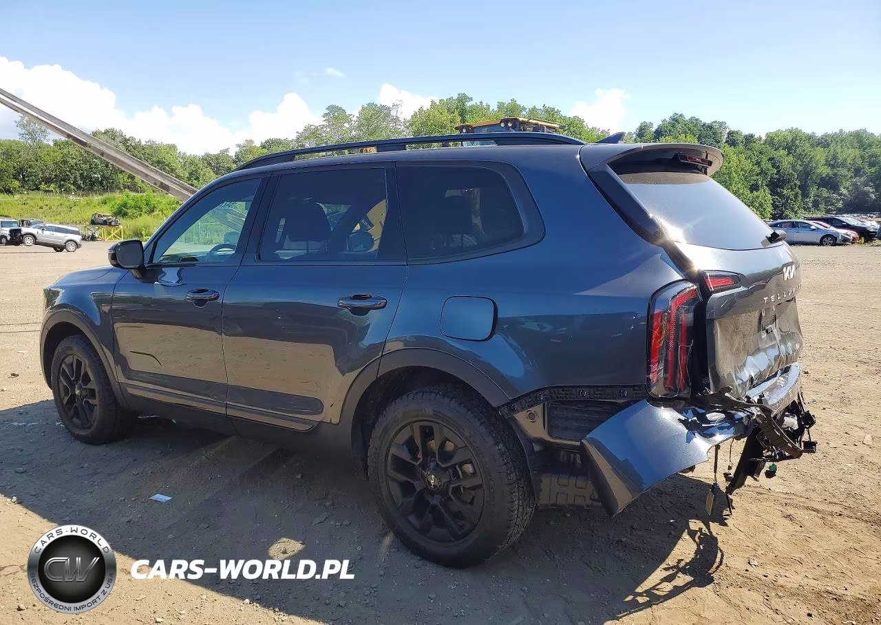 2024 Kia Telluride Sx-Prestige X-Pro VIN:5XYP5DGCXRG526831 - 2