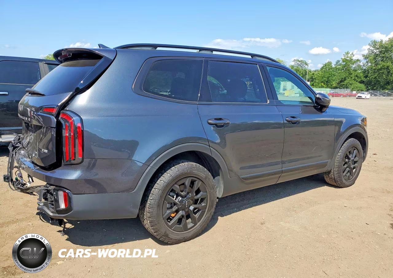 2024 Kia Telluride Sx-Prestige X-Pro VIN:5XYP5DGCXRG526831 - 3