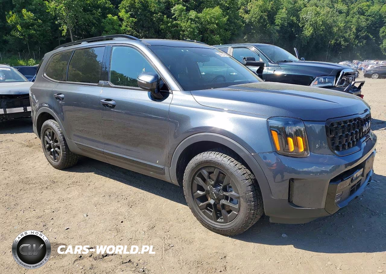 2024 Kia Telluride Sx-Prestige X-Pro VIN:5XYP5DGCXRG526831 - 4