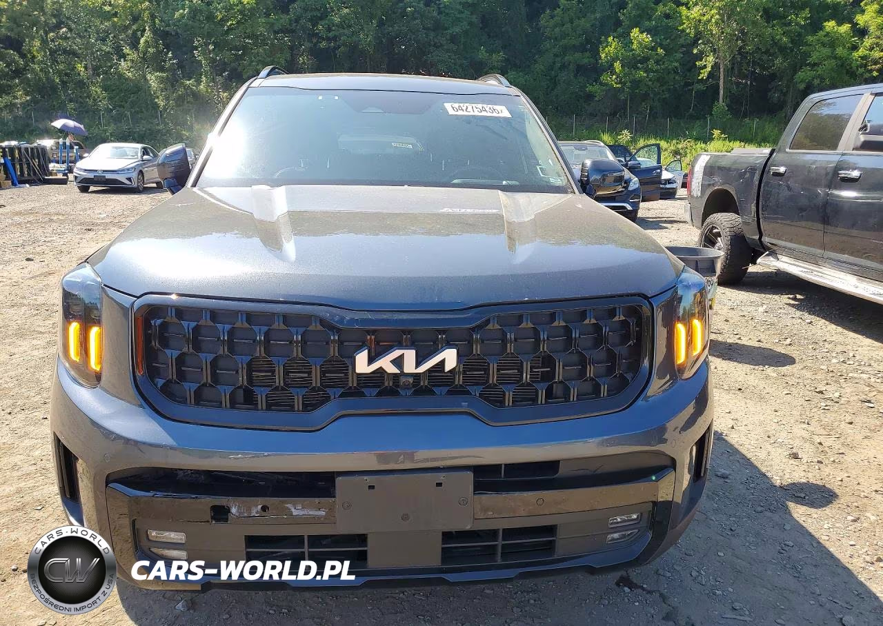 2024 Kia Telluride Sx-Prestige X-Pro VIN:5XYP5DGCXRG526831 - 5