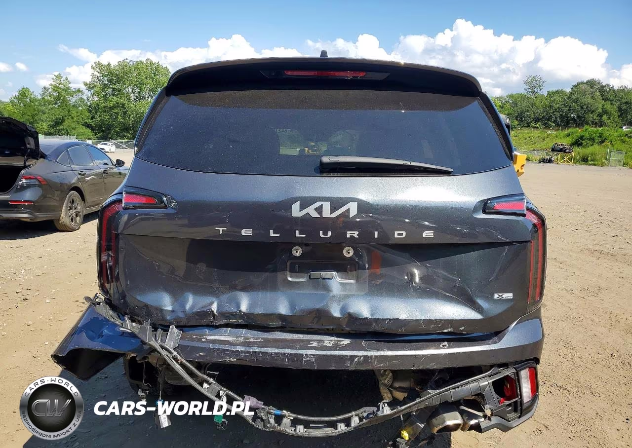 2024 Kia Telluride Sx-Prestige X-Pro VIN:5XYP5DGCXRG526831 - 6
