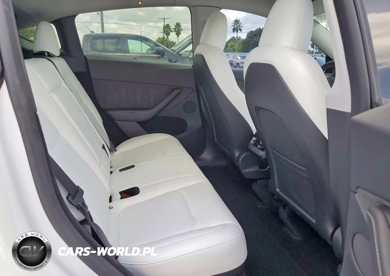 2024 Tesla Model Y VIN:7SAYGDEE8RA240261 - 10