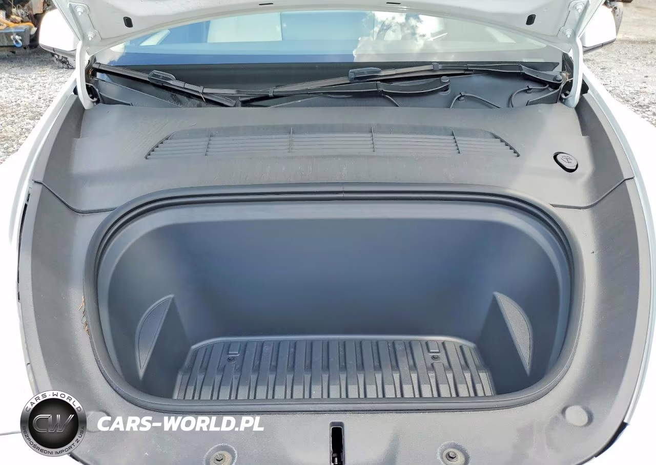 2024 Tesla Model Y VIN:7SAYGDEE8RA240261 - 11
