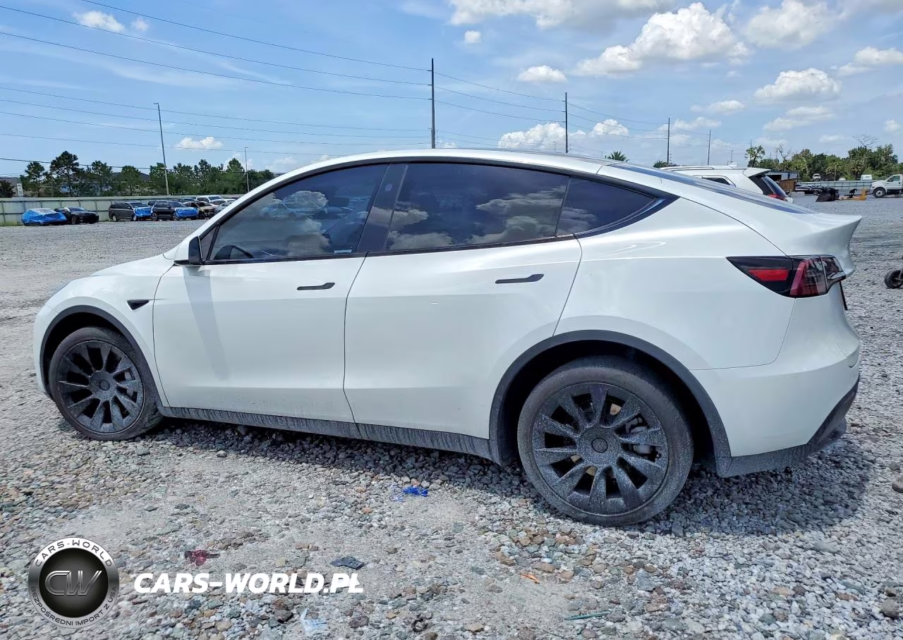 2024 Tesla Model Y VIN:7SAYGDEE8RA240261 - 2