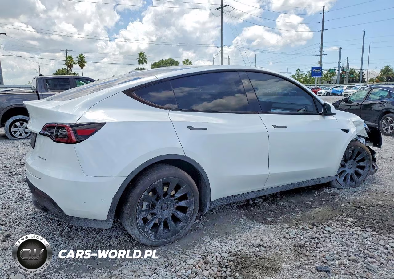 2024 Tesla Model Y VIN:7SAYGDEE8RA240261 - 3