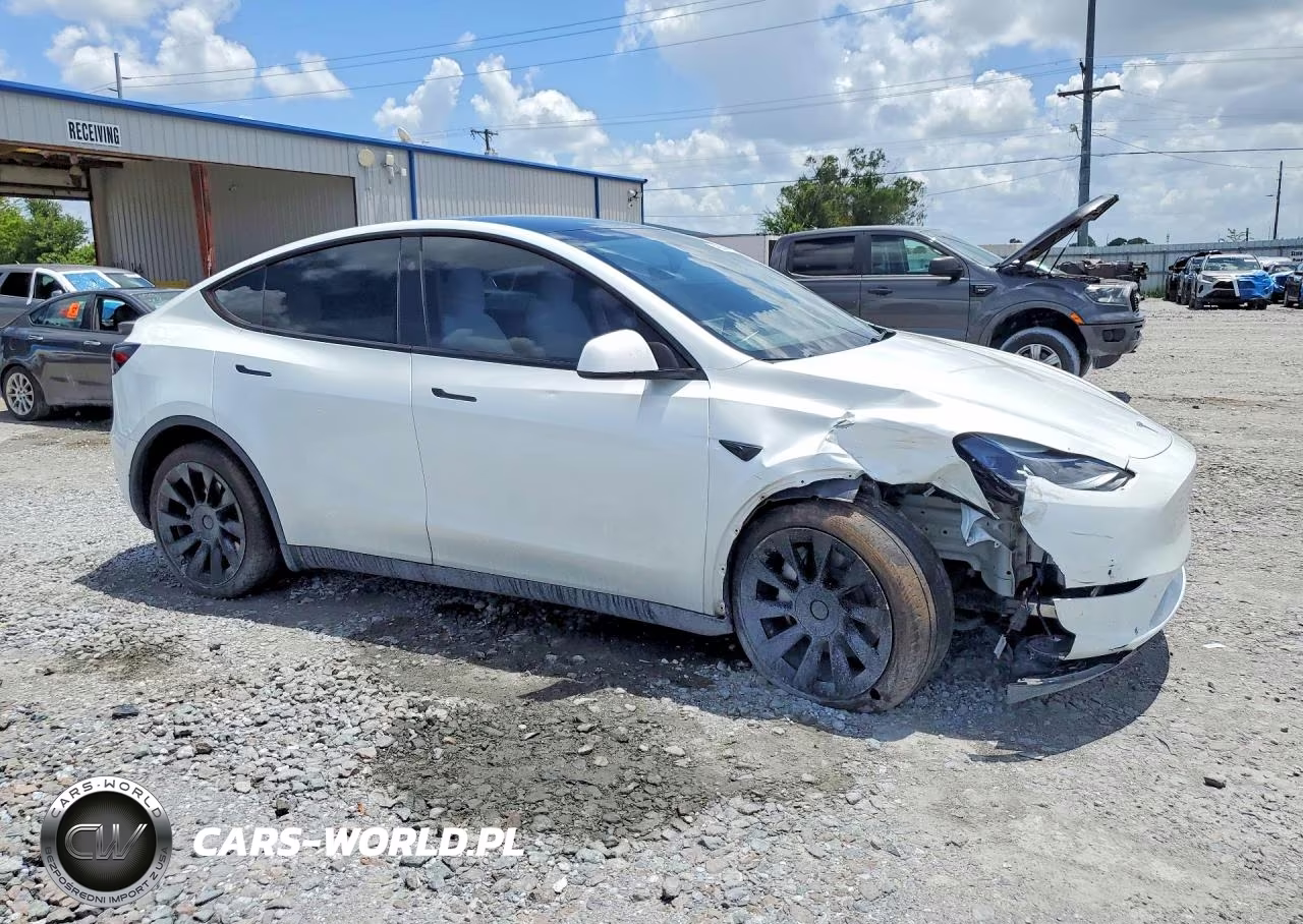 2024 Tesla Model Y VIN:7SAYGDEE8RA240261 - 4