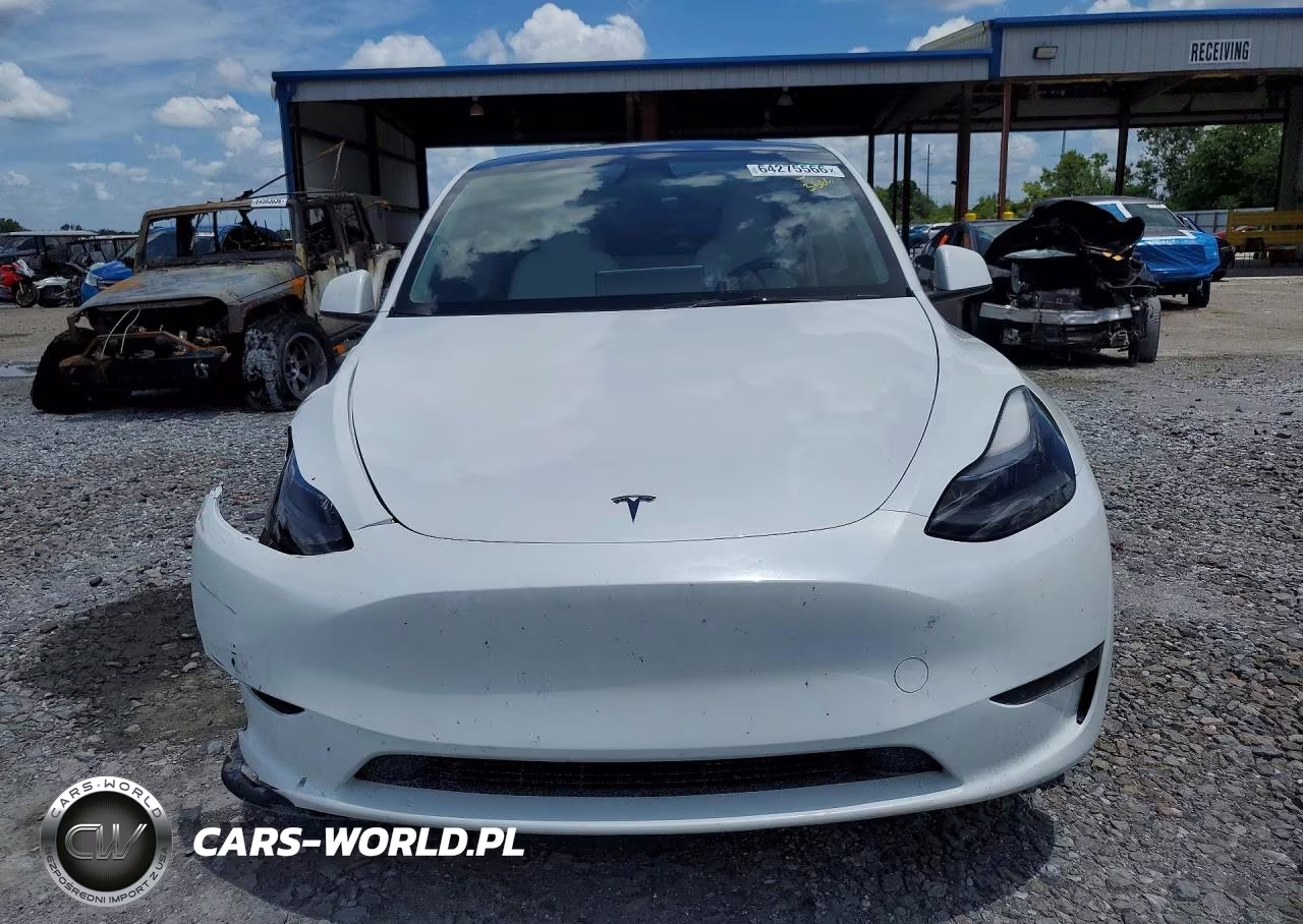 2024 Tesla Model Y VIN:7SAYGDEE8RA240261 - 5