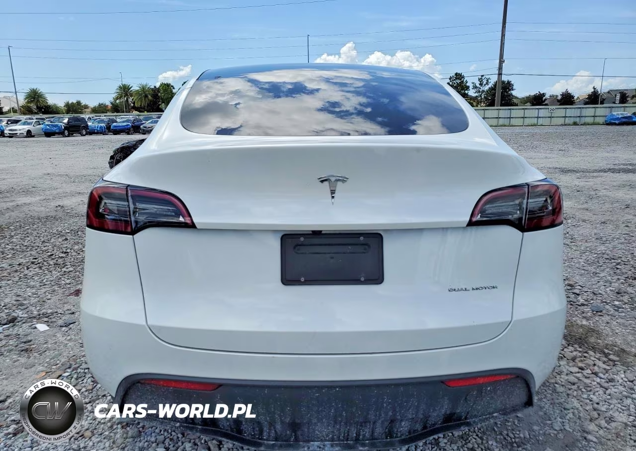2024 Tesla Model Y VIN:7SAYGDEE8RA240261 - 6