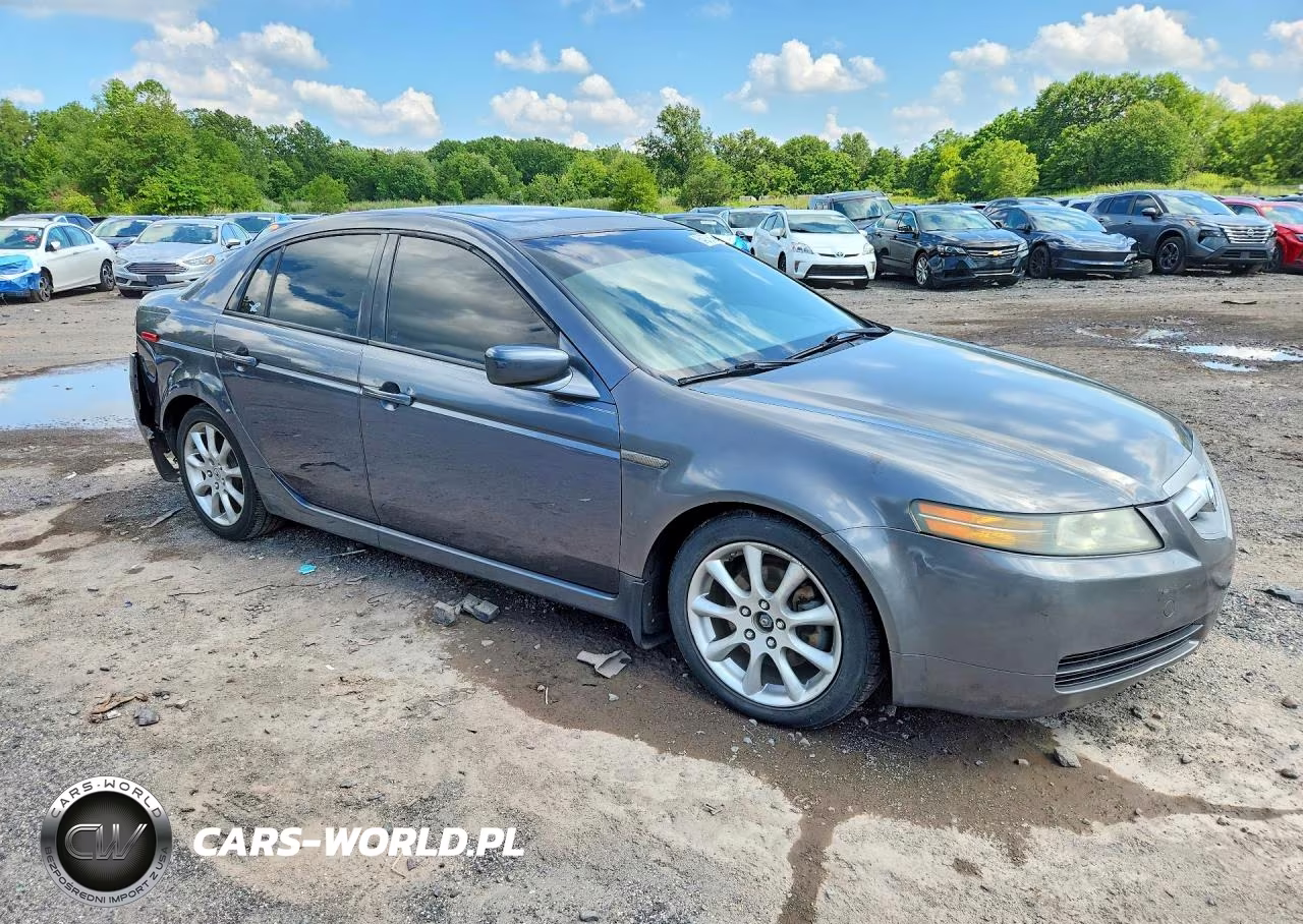2004 Acura Tl VIN:19UUA66224A040060 - 4
