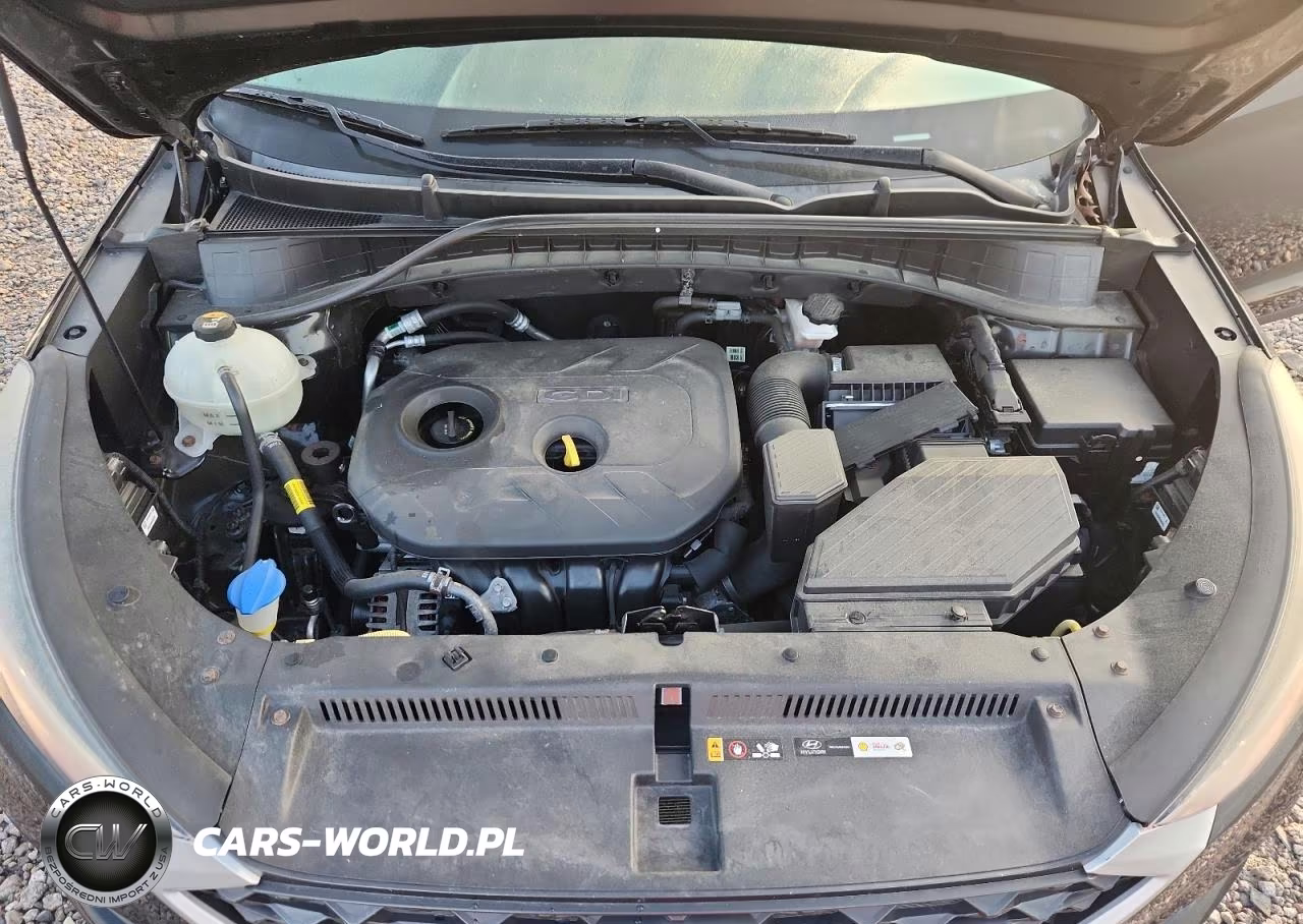 2019 Hyundai Tucson Value VIN:KM8J3CA47KU893550 - 12