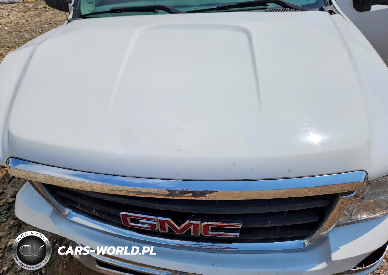 2010 GMC Sierra C1500 Sl VIN:1GTSCUEAXAZ217111 - 11