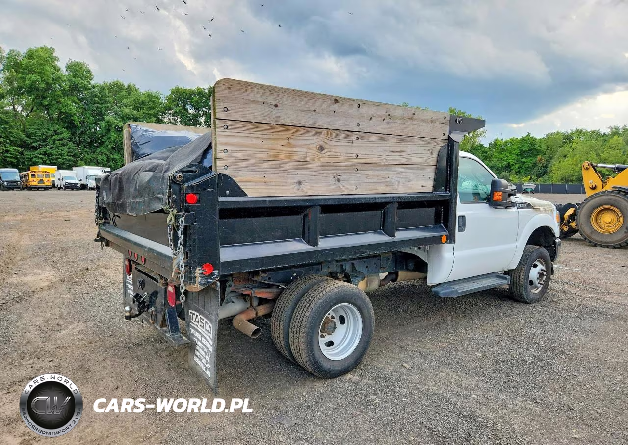 2016 Ford F350 Super Duty VIN:1FDRF3H67GED49195 - 3