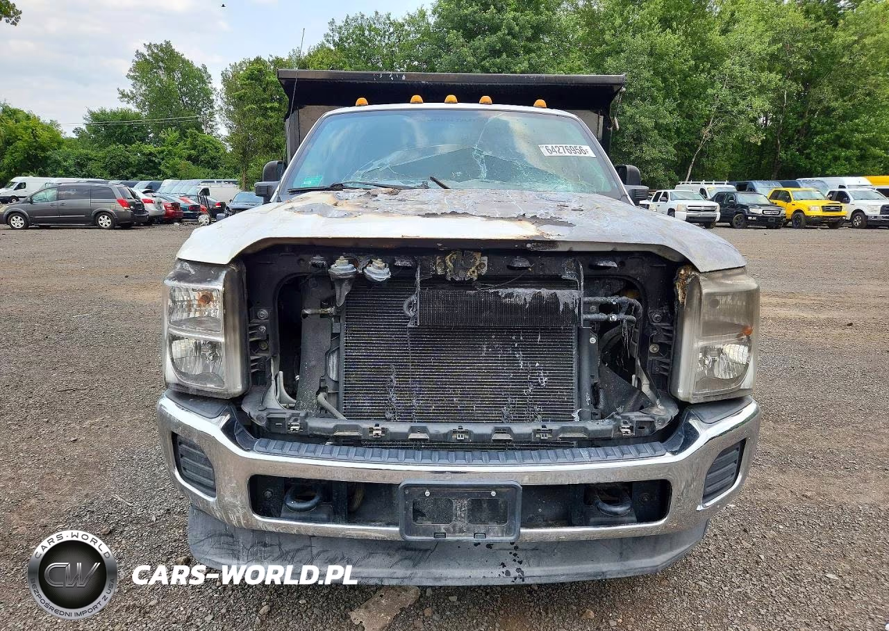 2016 Ford F350 Super Duty VIN:1FDRF3H67GED49195 - 5