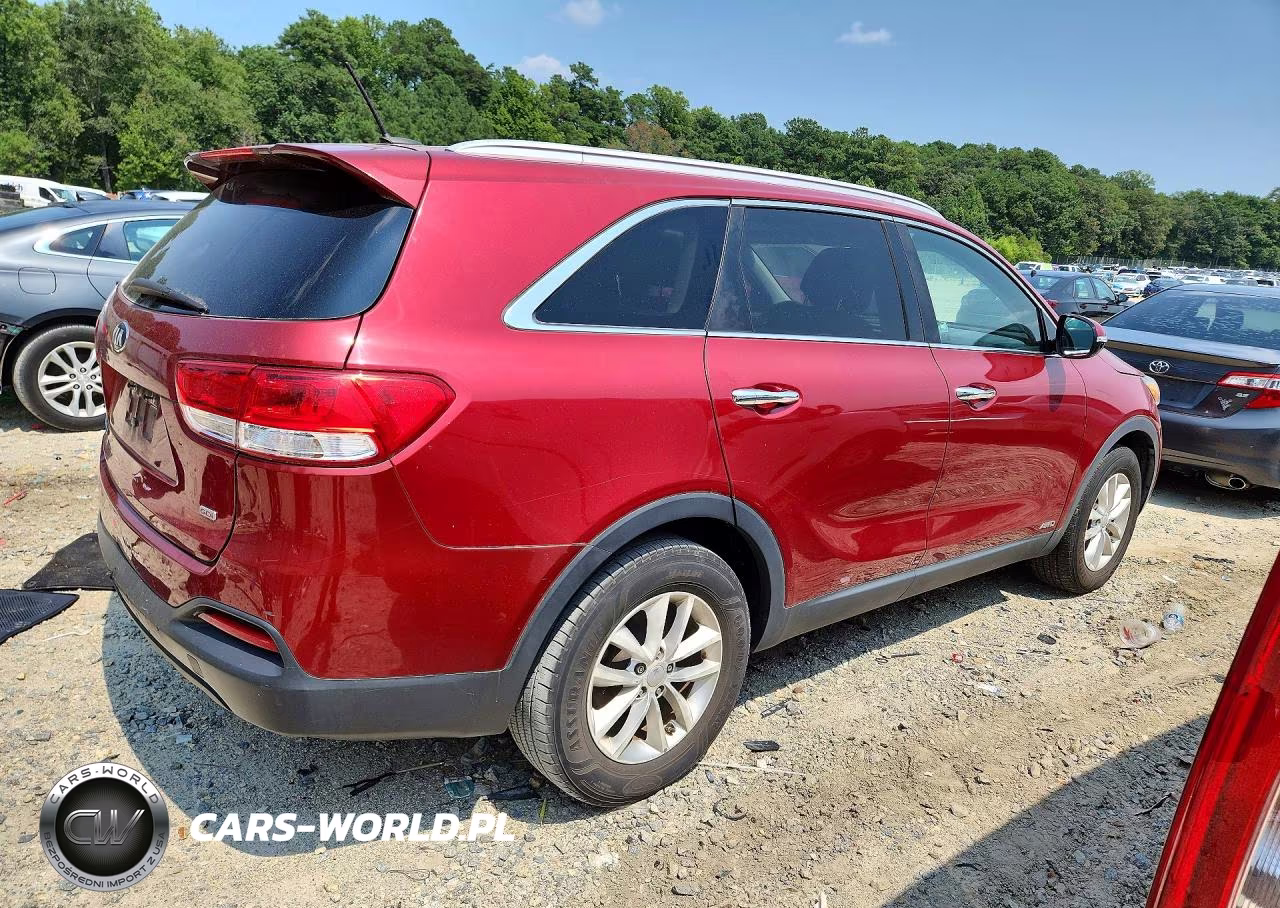 2017 Kia Sorento Lx VIN:5XYPGDA3XHG263497 - 3