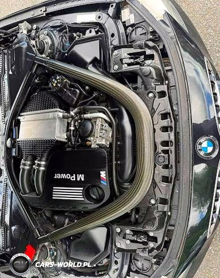 2015 BMW M3 VIN:WBS3C9C55FP803086 - 10