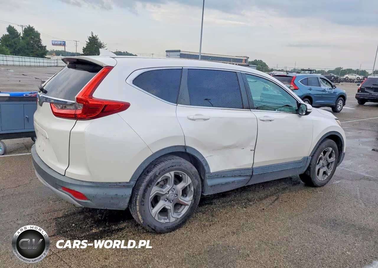 2019 Honda Cr-V Ex VIN:5J6RW1H50KL006646 - 3