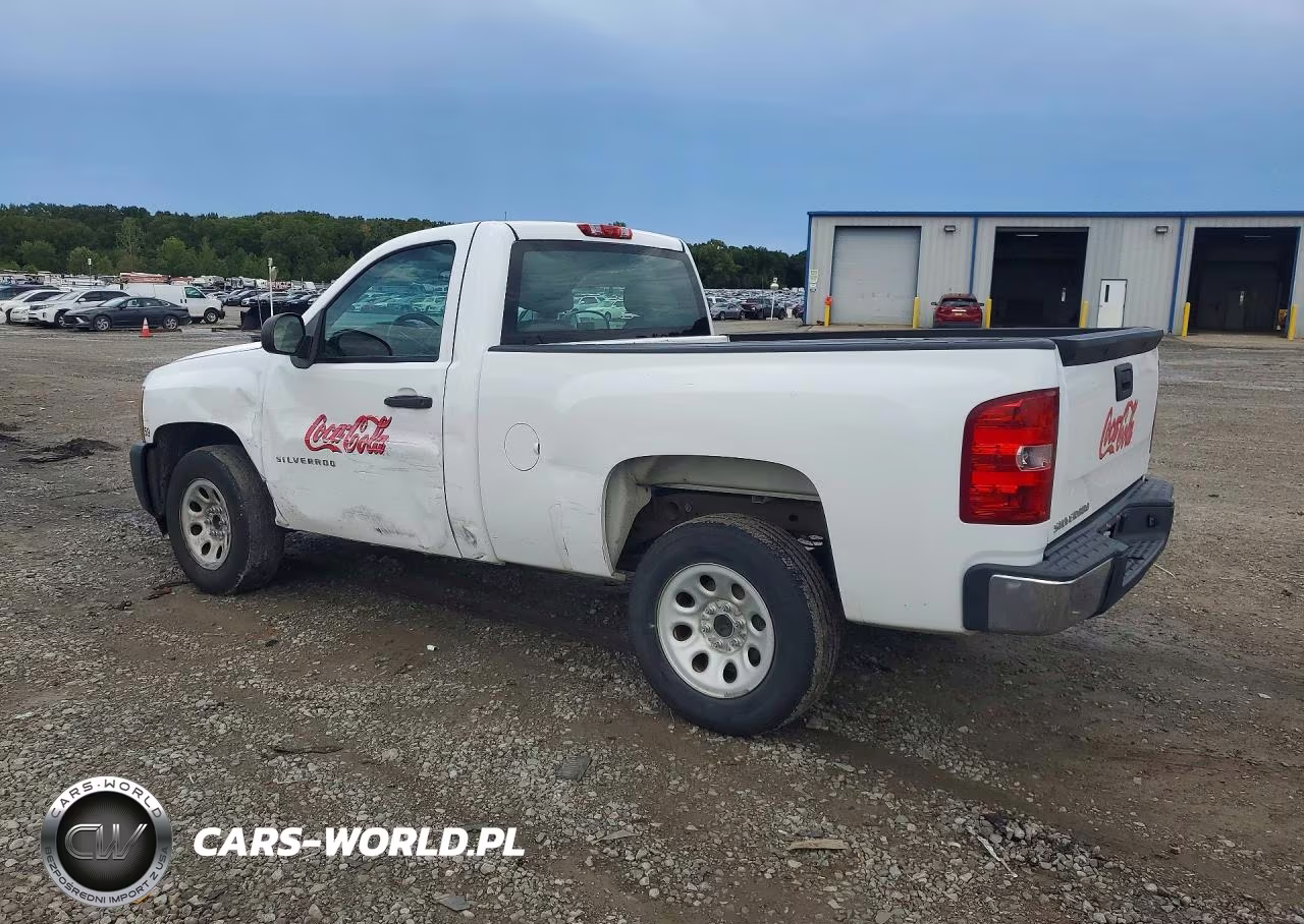 2013 Chevrolet Silverado C1500 VIN:1GCNCPEXXDZ401620 - 2