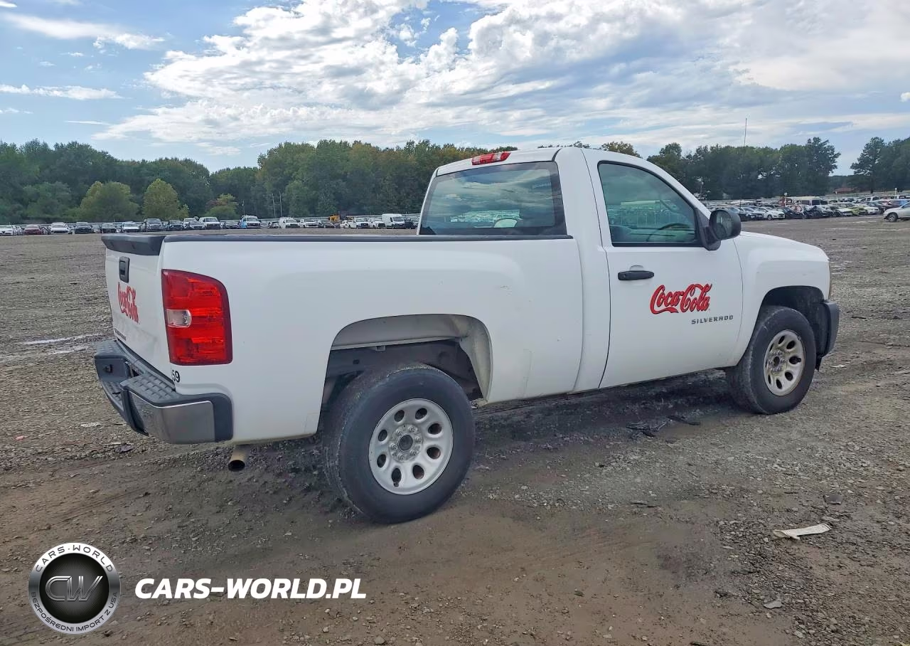 2013 Chevrolet Silverado C1500 VIN:1GCNCPEXXDZ401620 - 3