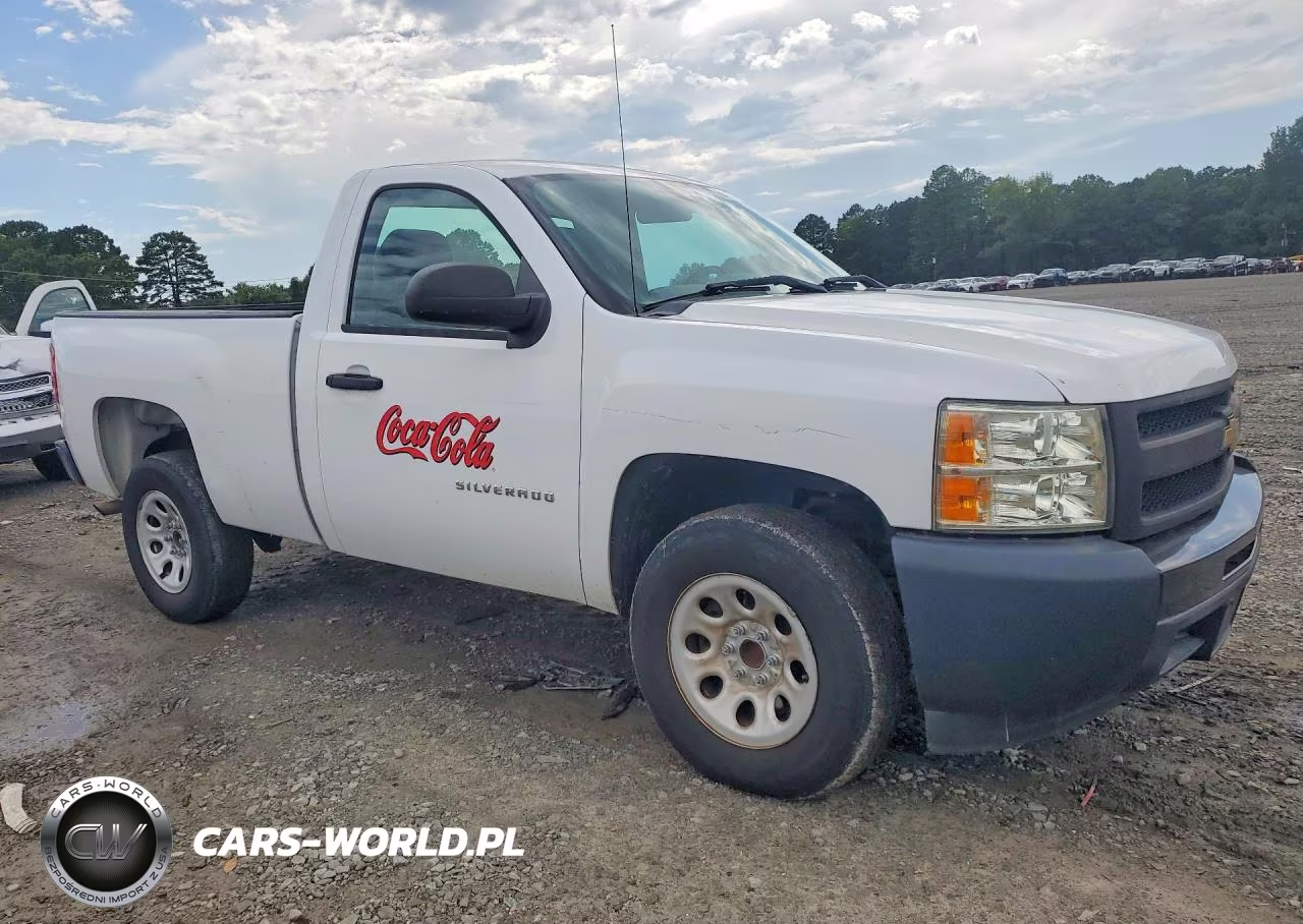 2013 Chevrolet Silverado C1500 VIN:1GCNCPEXXDZ401620 - 4