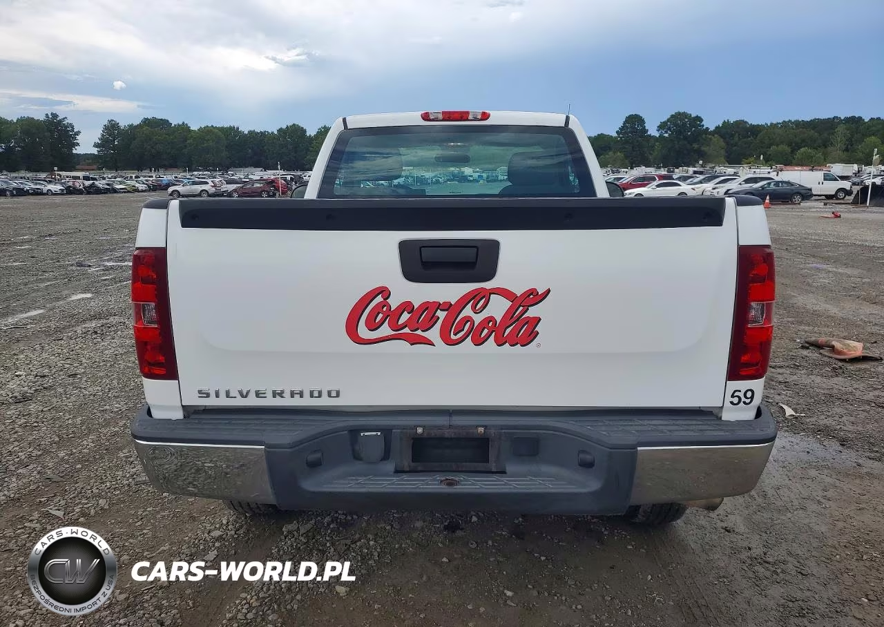 2013 Chevrolet Silverado C1500 VIN:1GCNCPEXXDZ401620 - 6