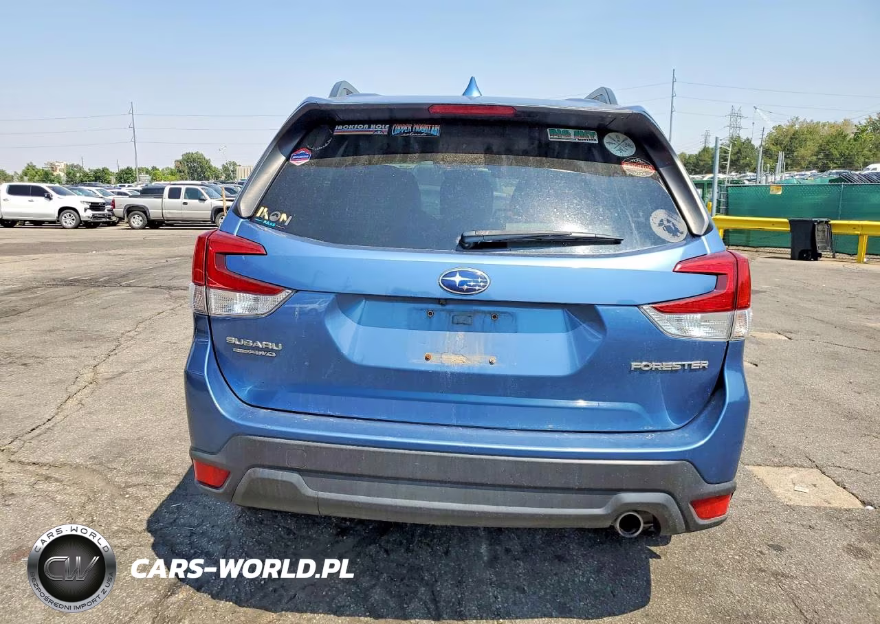 2019 Subaru Forester Limited VIN:JF2SKASC0KH419052 - 6