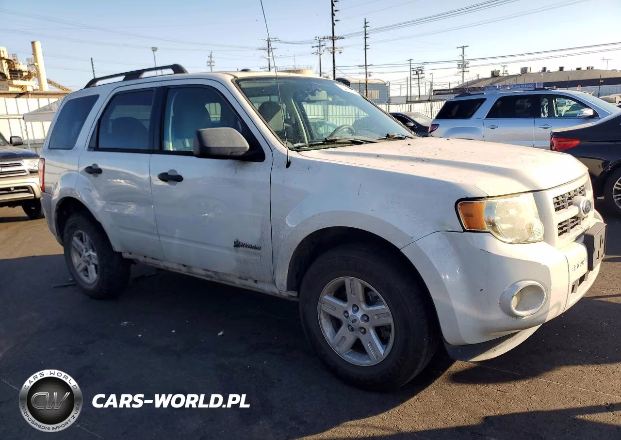 2009 Ford Escape Hybrid VIN:1FMCU49309KC33430 - 4