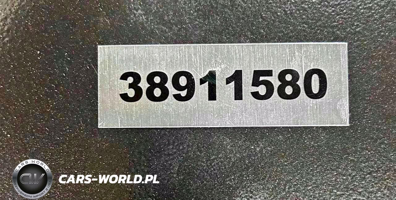 2025 OTHER HEAVY EQUIPMENT ROTISSERIE VIN:38911580 - 9
