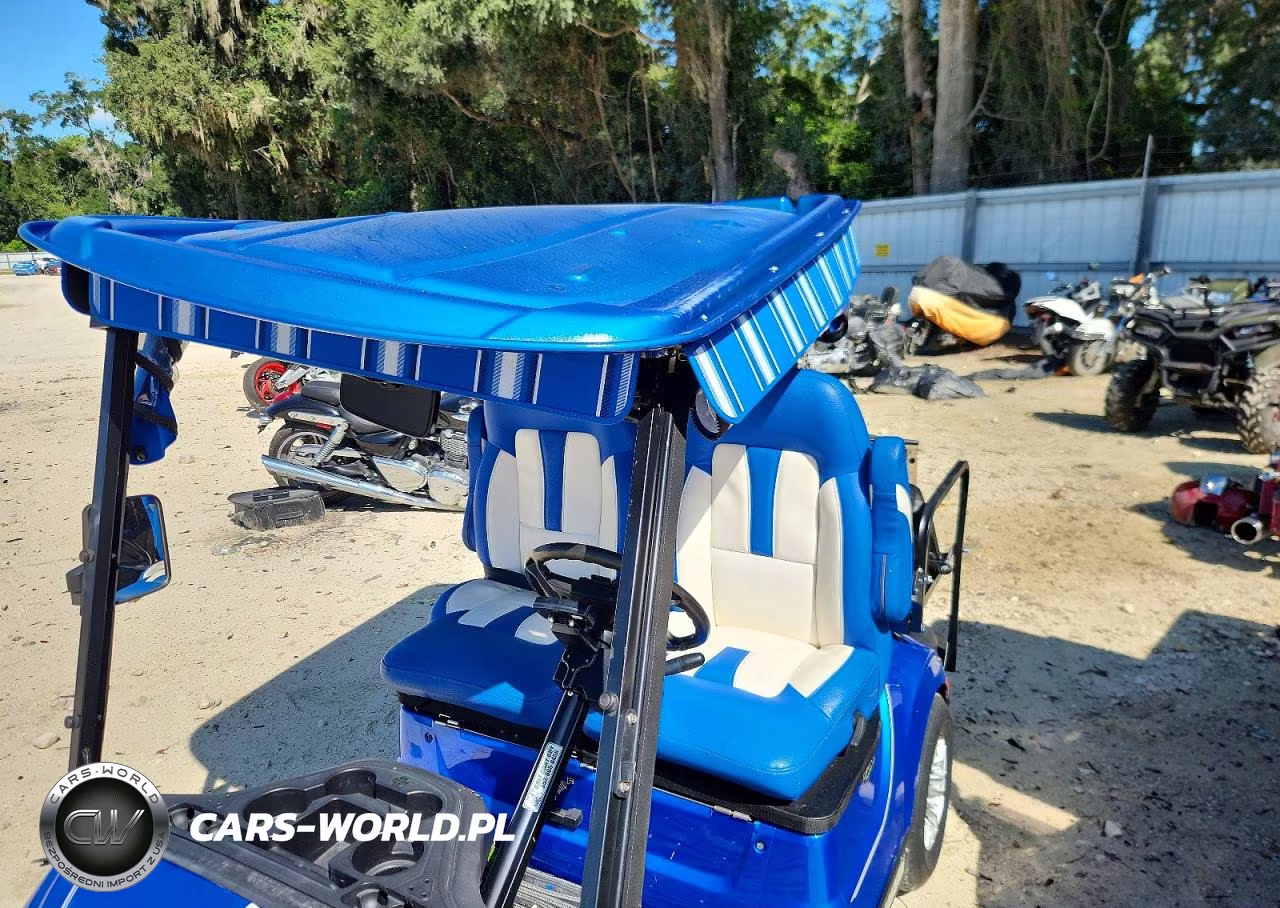 2017 Yamaha Golf Cart VIN:J0D005021 - 9