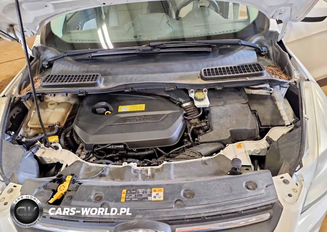 2013 Ford Escape Se VIN:1FMCU0GX8DUB74073 - 12