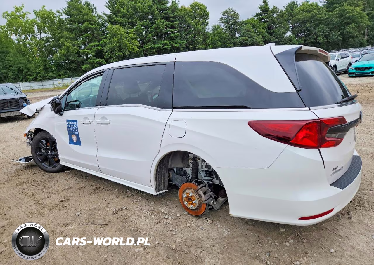 2024 Honda Odyssey Sport VIN:5FNRL6H77RB067826 - 2