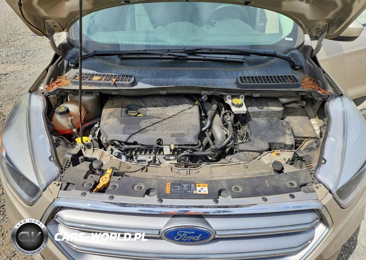 2017 Ford Escape Se VIN:1FMCU9GD0HUC81019 - 12