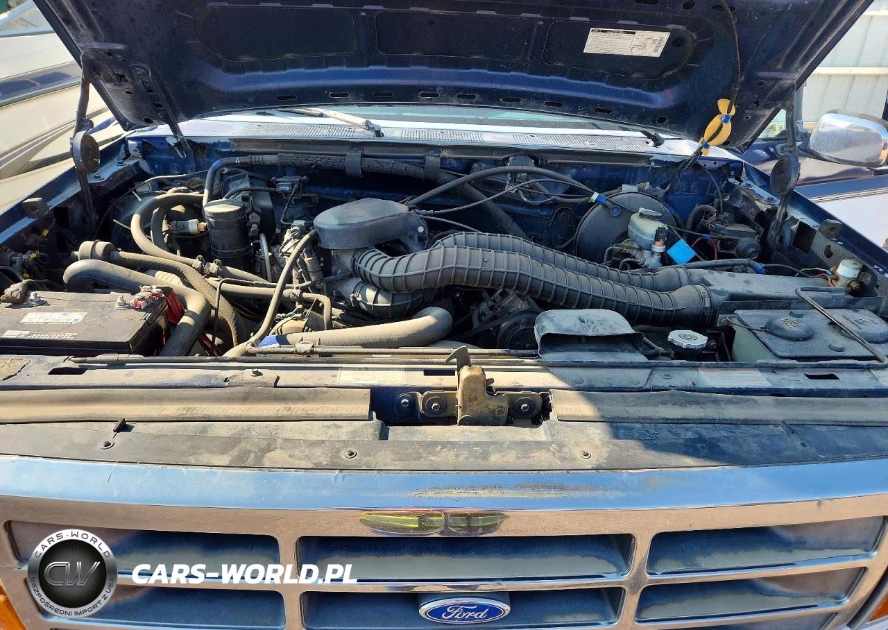 1994 Ford F150 VIN:1FTEX14H3RKA53672 - 11