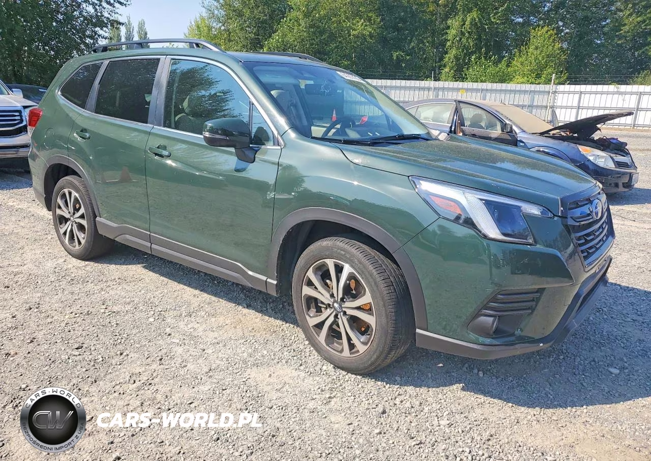 2022 Subaru Forester Limited VIN:JF2SKAPC6NH473257 - 4