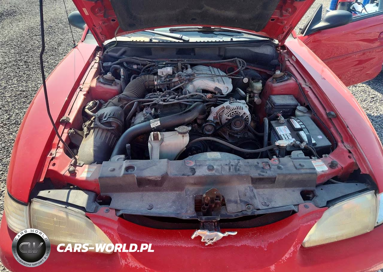 1998 Ford Mustang VIN:1FAFP4448WF169964 - 11