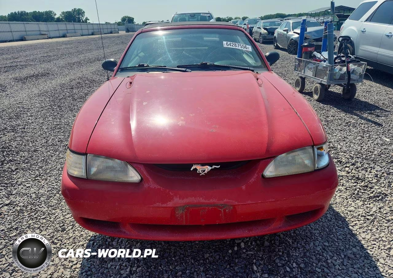 1998 Ford Mustang VIN:1FAFP4448WF169964 - 5
