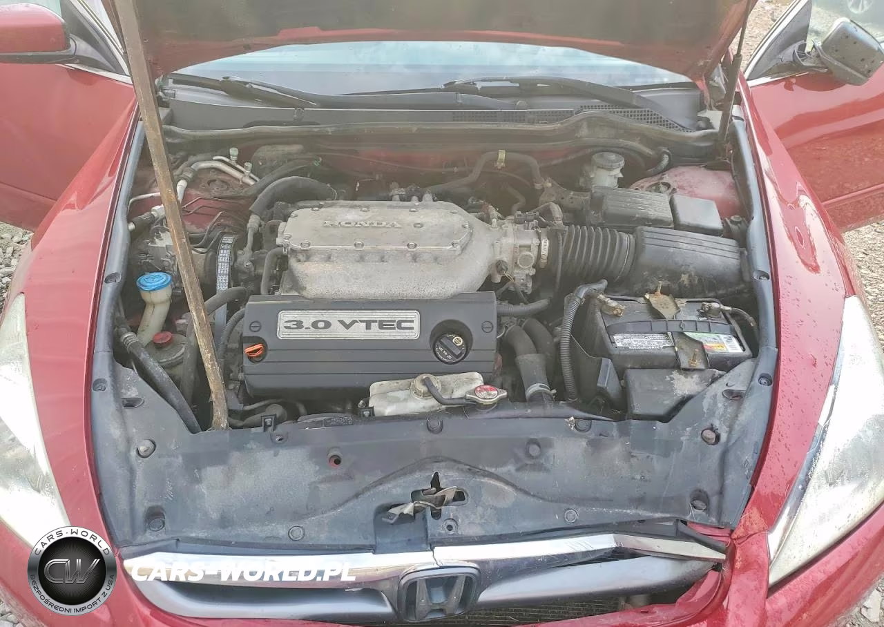 2007 Honda Accord Se VIN:1HGCM66417A032072 - 11