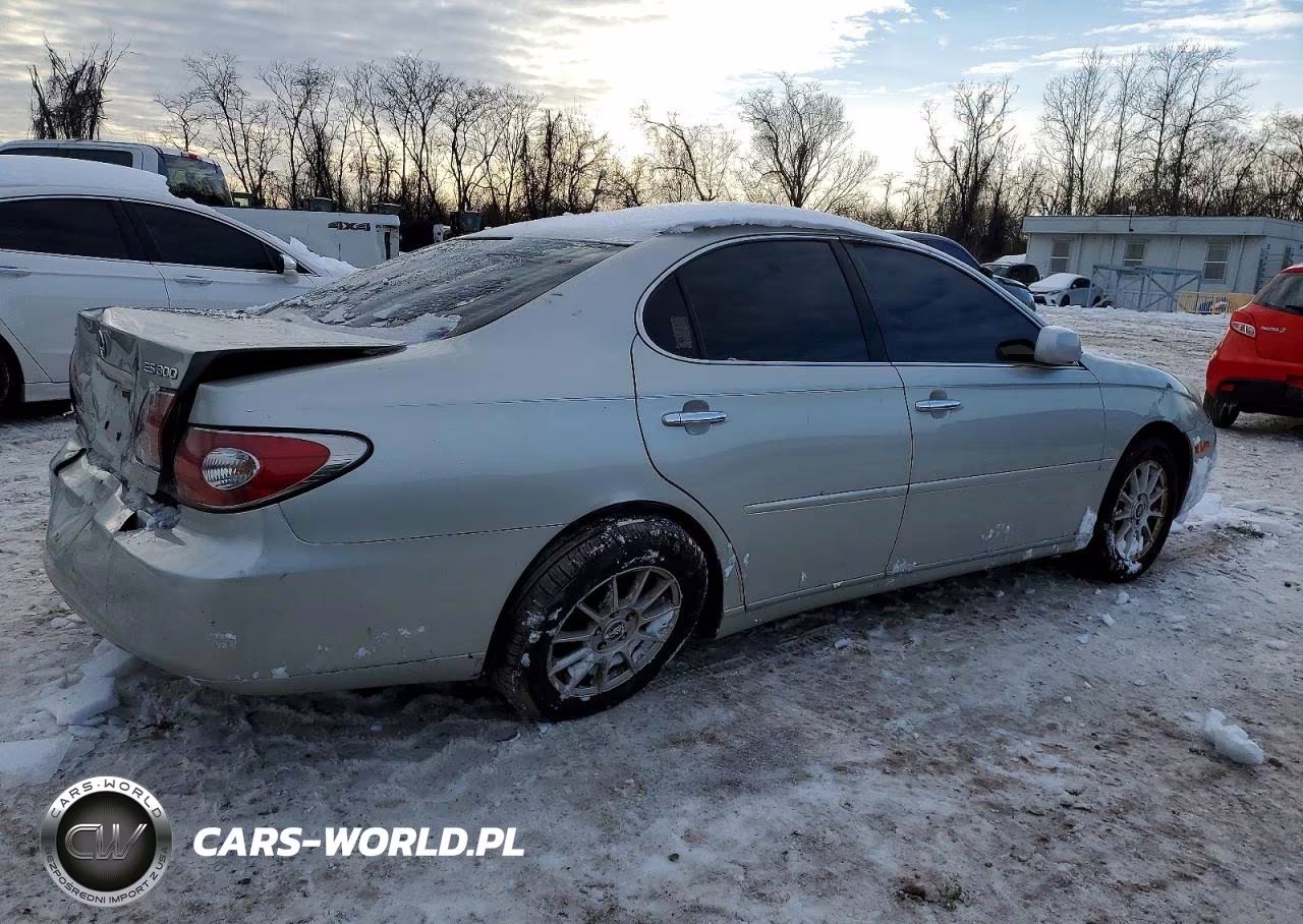 2003 Lexus Es 300 VIN:JTHBF30G036003194 - 3