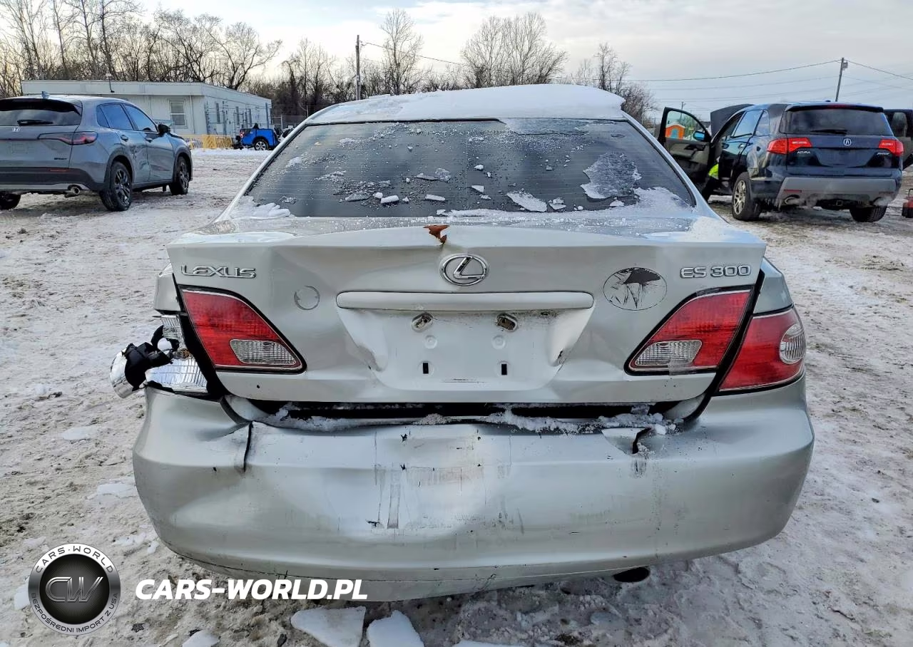 2003 Lexus Es 300 VIN:JTHBF30G036003194 - 6