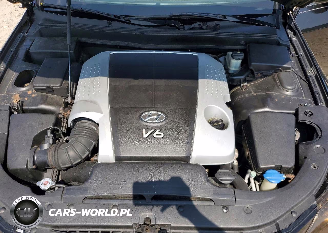 2009 Hyundai Genesis 3.8L VIN:KMHGC46E39U018476 - 11
