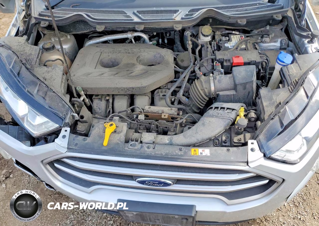 2020 Ford Ecosport Se VIN:MAJ6S3GL3LC390302 - 12