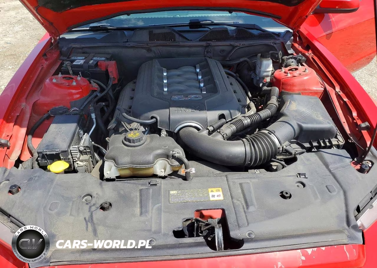 2013 Ford Mustang Gt VIN:1ZVBP8CF0D5263680 - 11
