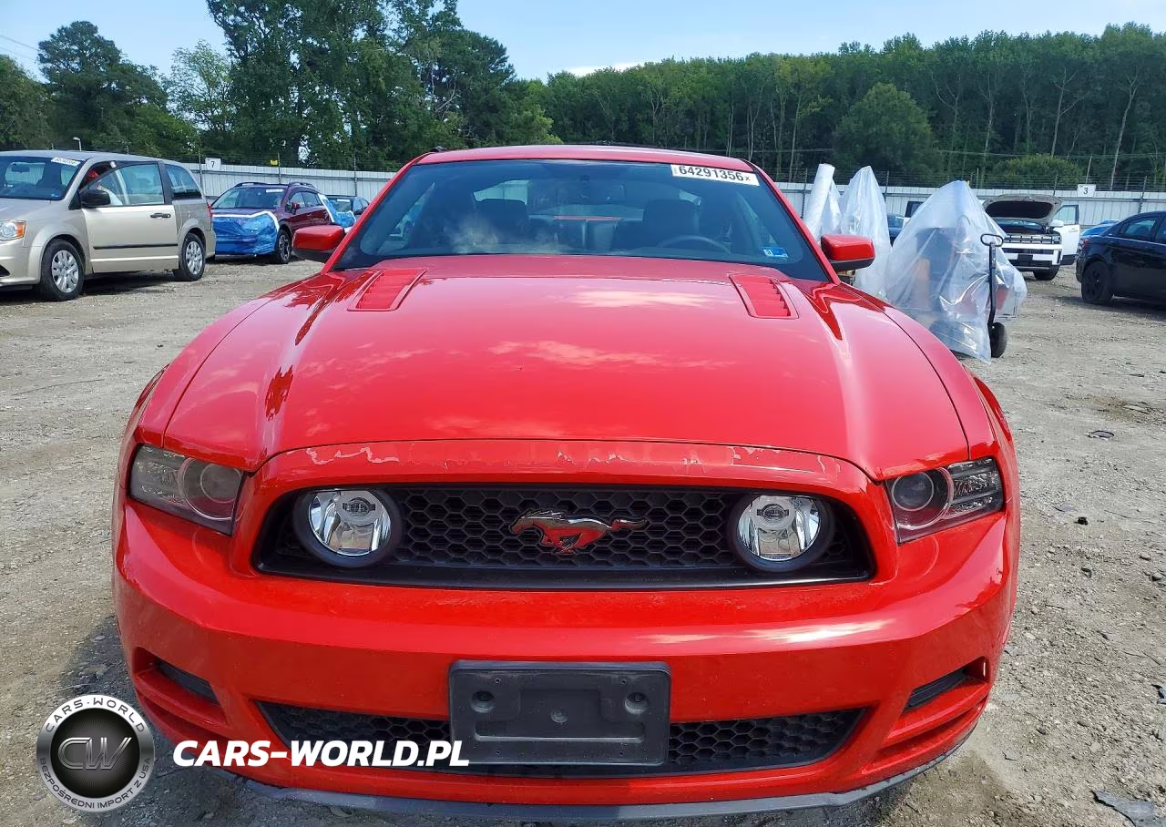 2013 Ford Mustang Gt VIN:1ZVBP8CF0D5263680 - 5