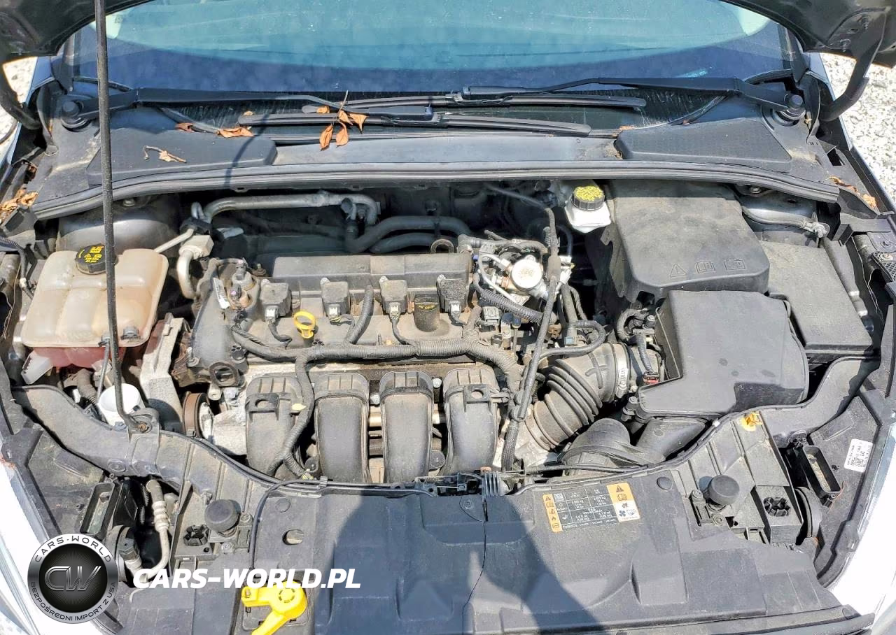 2018 Ford Focus Se VIN:1FADP3F21JL252921 - 11