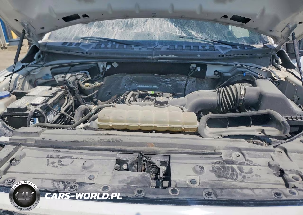 2019 Ford F150 Supercrew VIN:1FTEW1EP5KKC49370 - 11