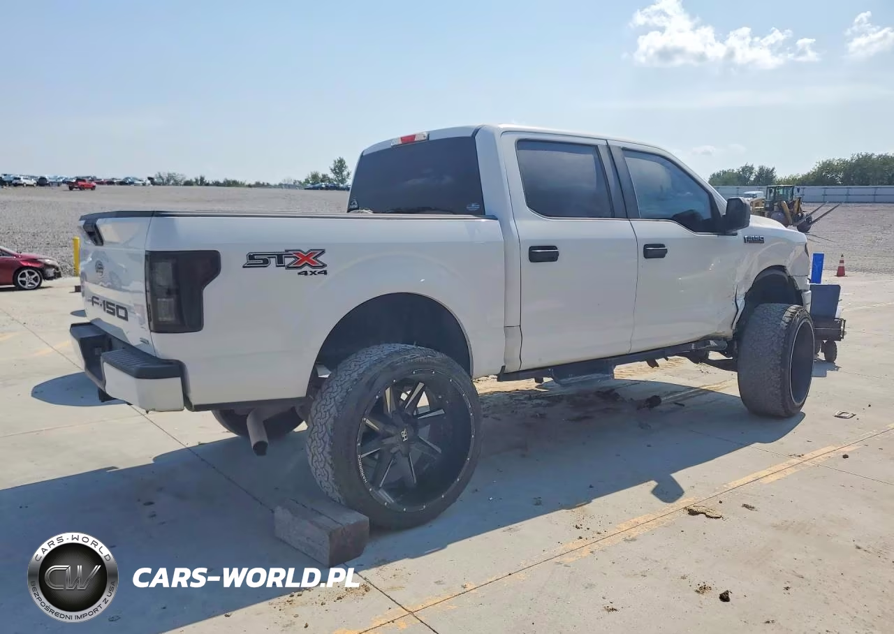 2019 Ford F150 Supercrew VIN:1FTEW1EP5KKC49370 - 3